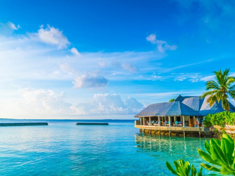 Embark on Epic Travel Adventures